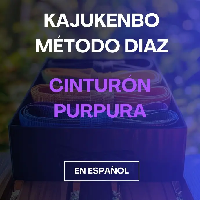 KajuKenBo classes - Purple Belt (Spanish)