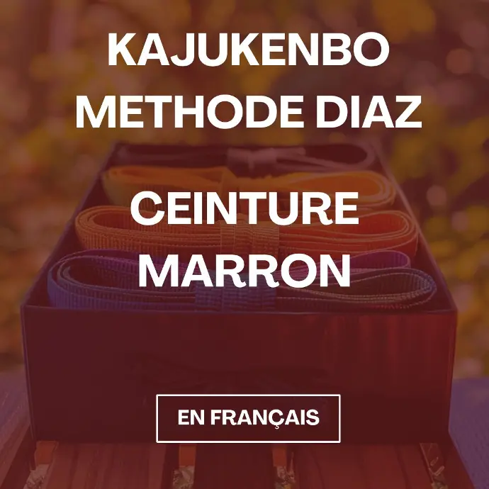 Cours de KajuKenBo - Ceinture Marron