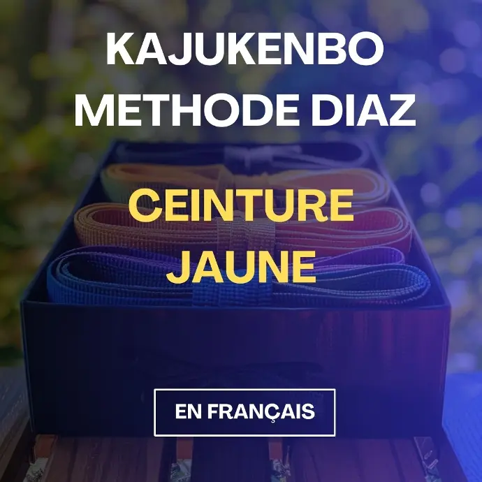 Cours de KajuKenBo - Ceinture Jaune