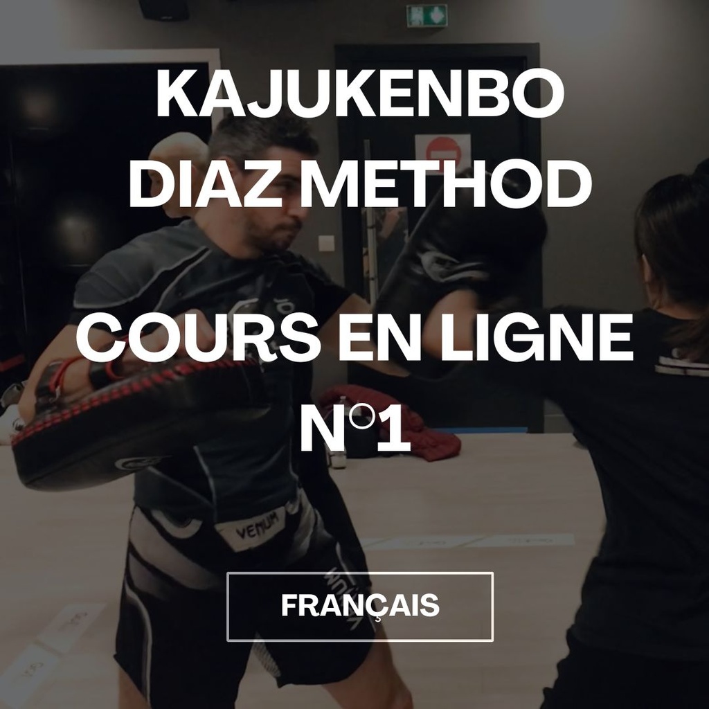 Cours en ligne N°1