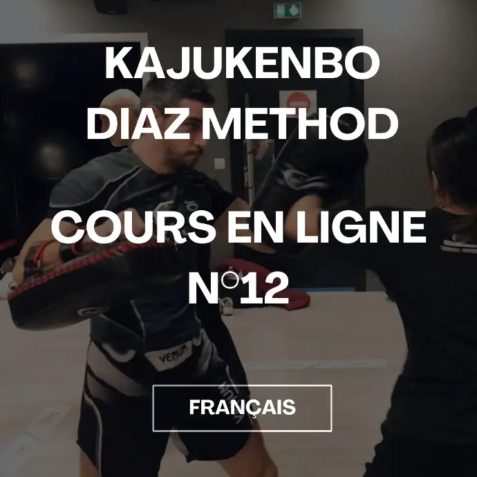 Cours en ligne N°12