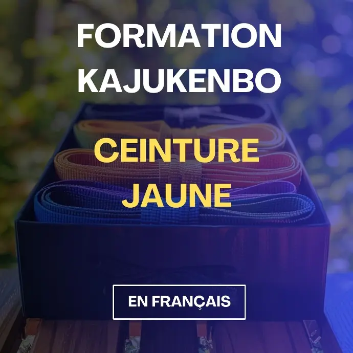 Cours de KajuKenBo - Ceinture Jaune