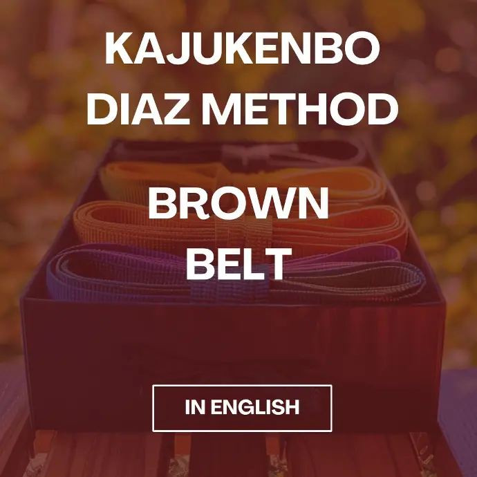 KajuKenBo Course - Brown Belt