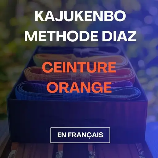 Cours de KaJuKenBo - Ceinture Orange