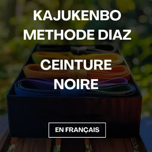 Cours de KajuKenBo - Ceinture Noire